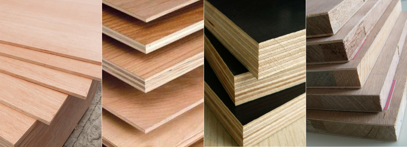 Mampilly Plywood Industries 